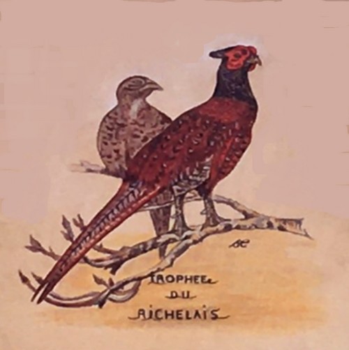 TROPHEE RICHELAIS SYLVIE 500